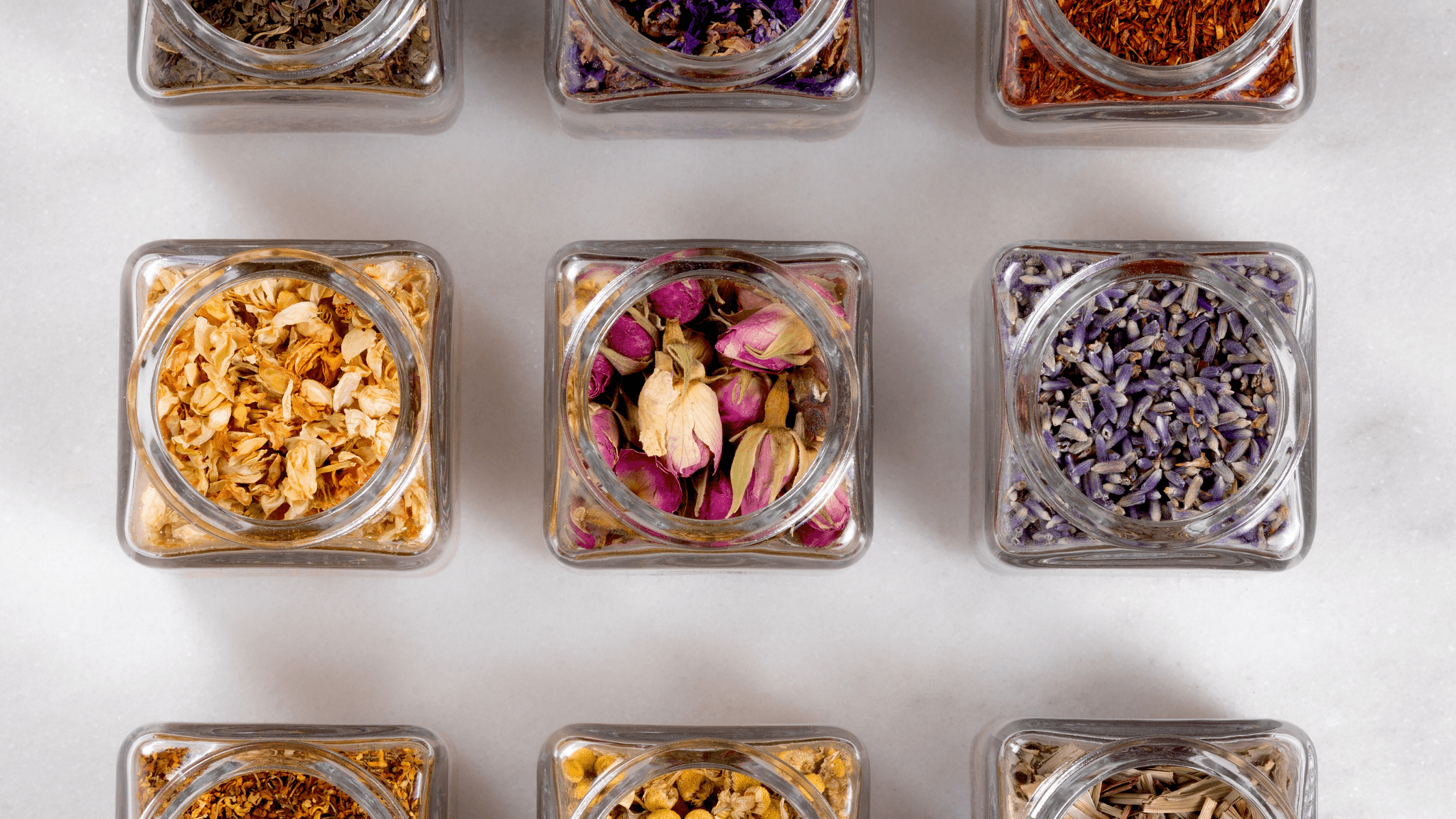 Best Herbs for Beginners