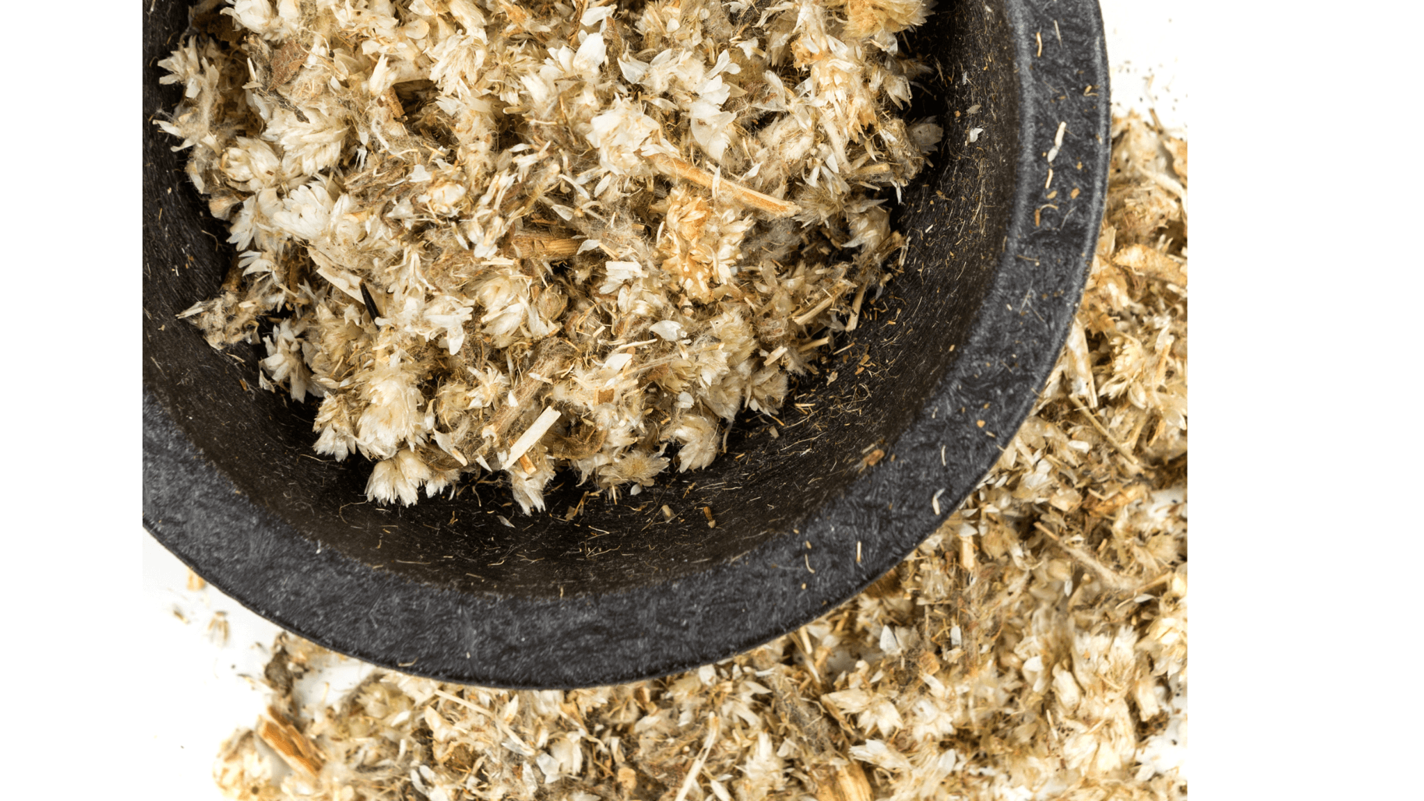 Herb of the Week | Mullein