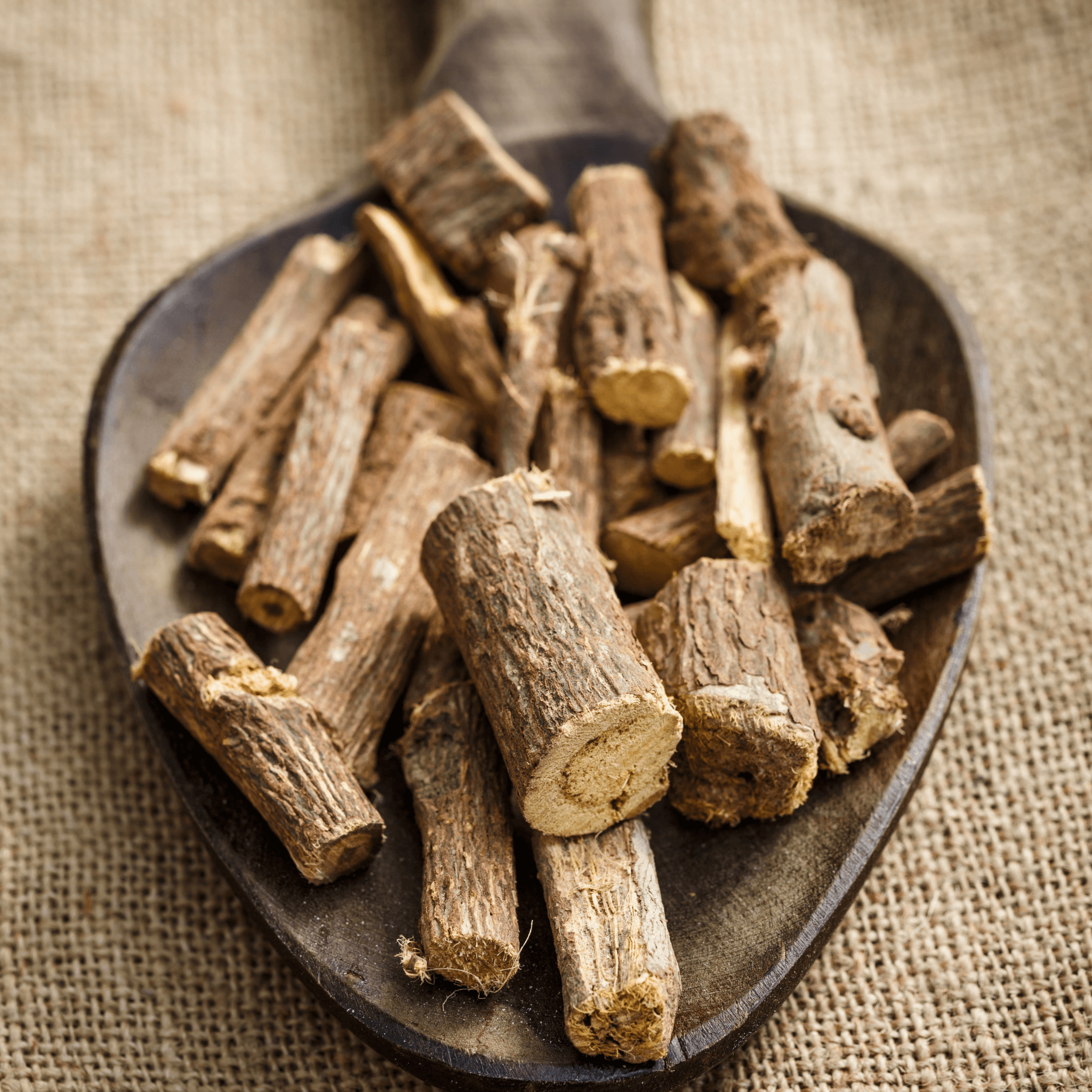 Herb of The Week