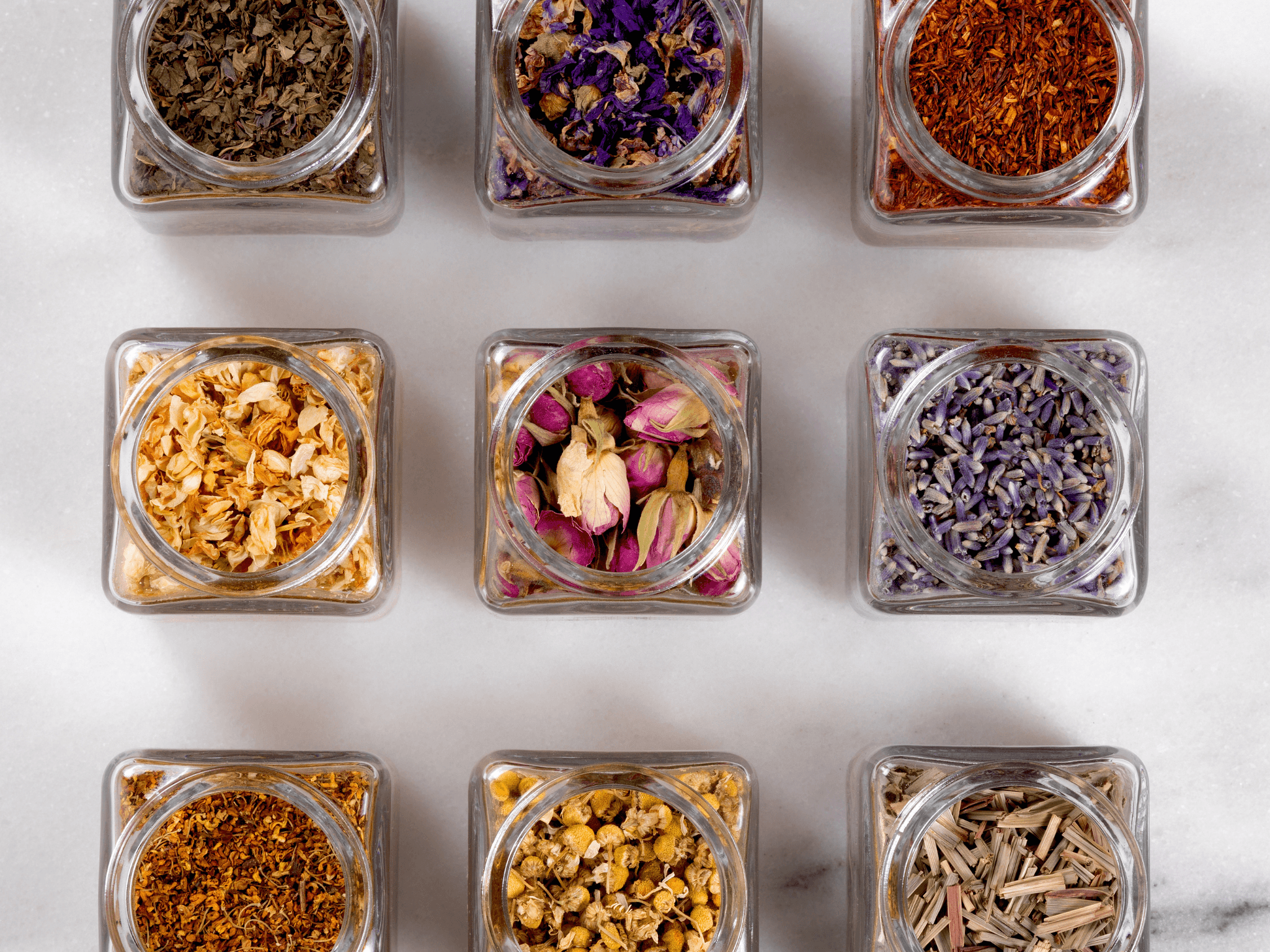 Best Herbs for Beginners