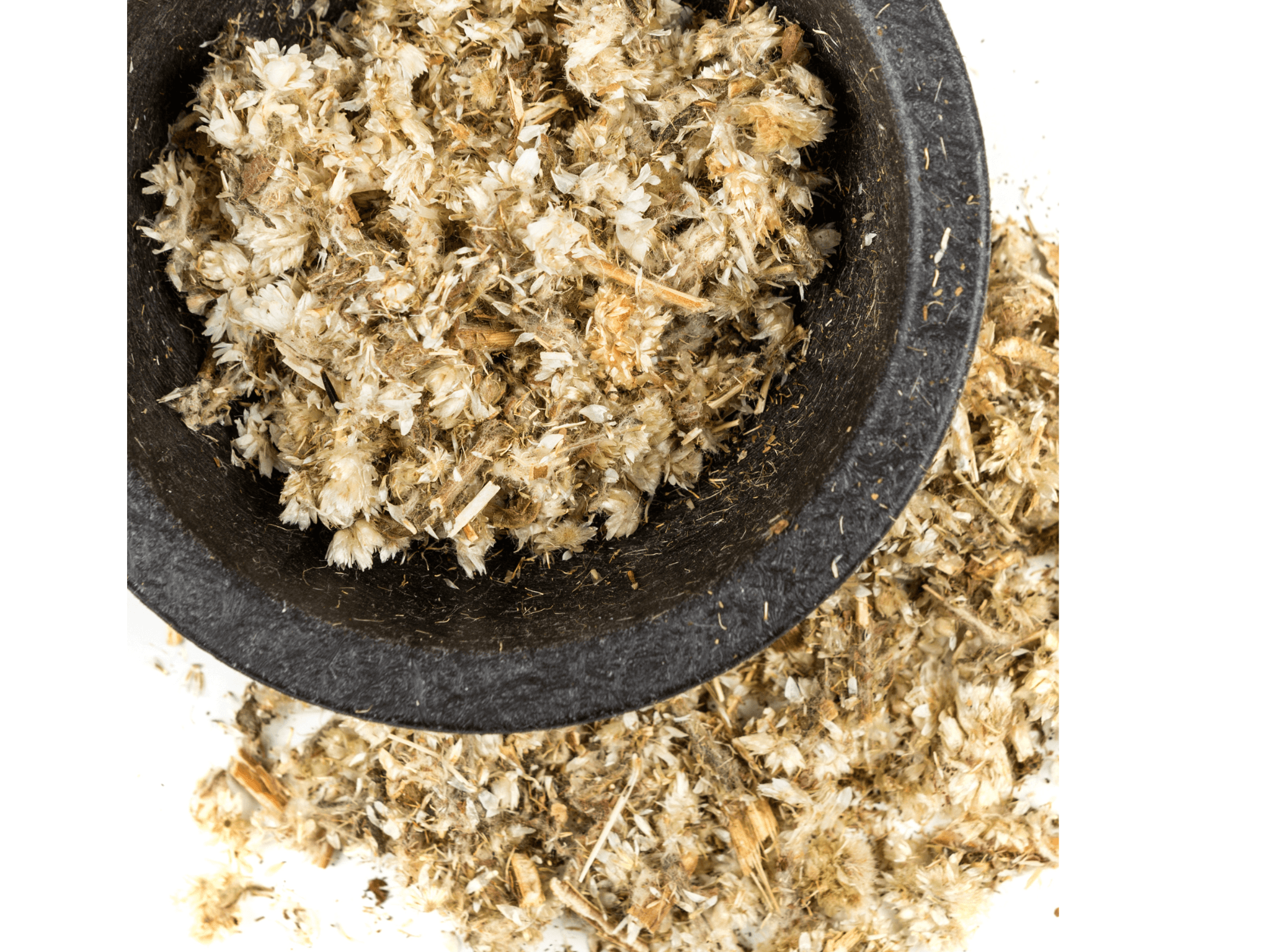 Herb of the Week | Mullein