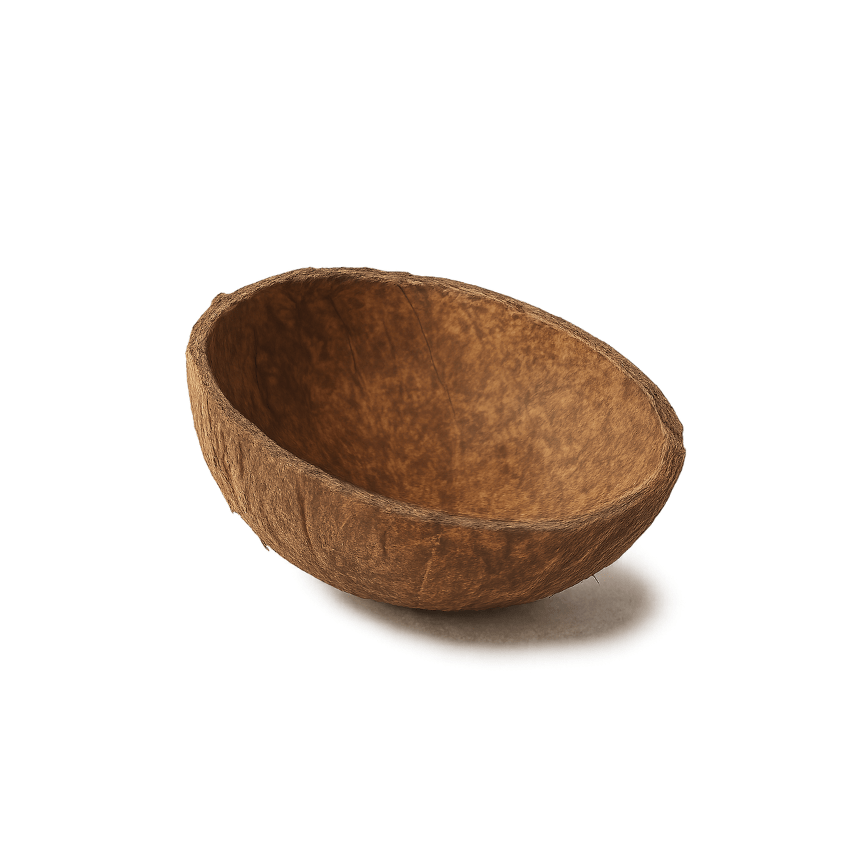 Coconut Shell
