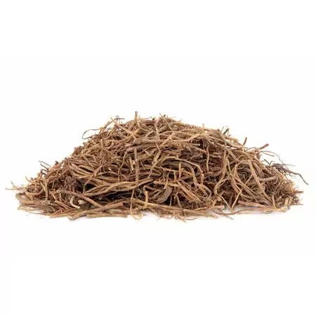 Organic Gentian Root