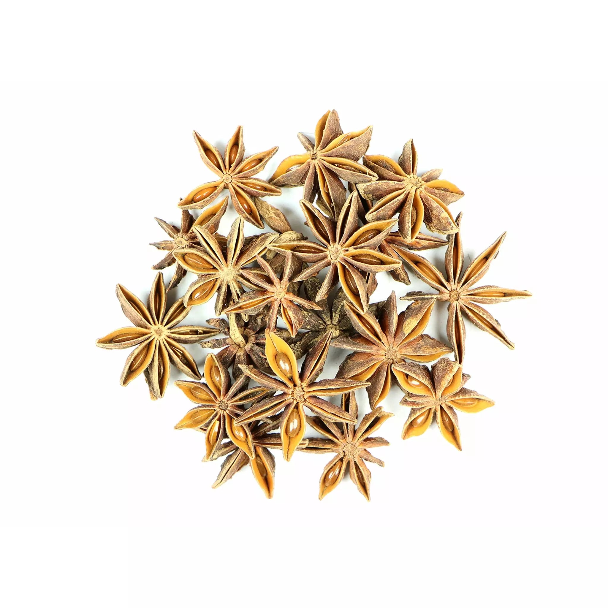 Organic Anise Star – Nine Keys Botanica