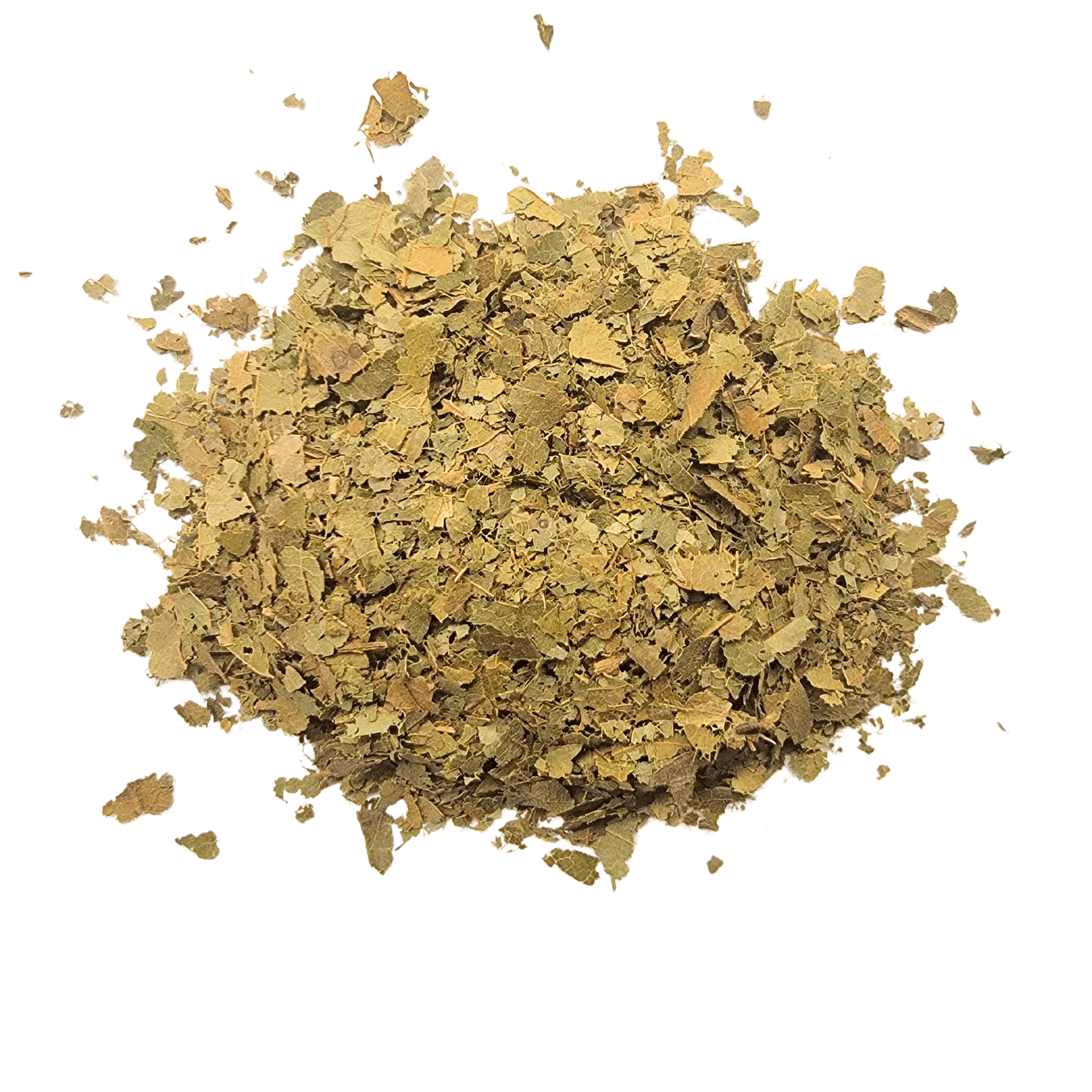 Wildcrafted Guanabana Leaf (Soursop) C/S – Nine Keys Botanica