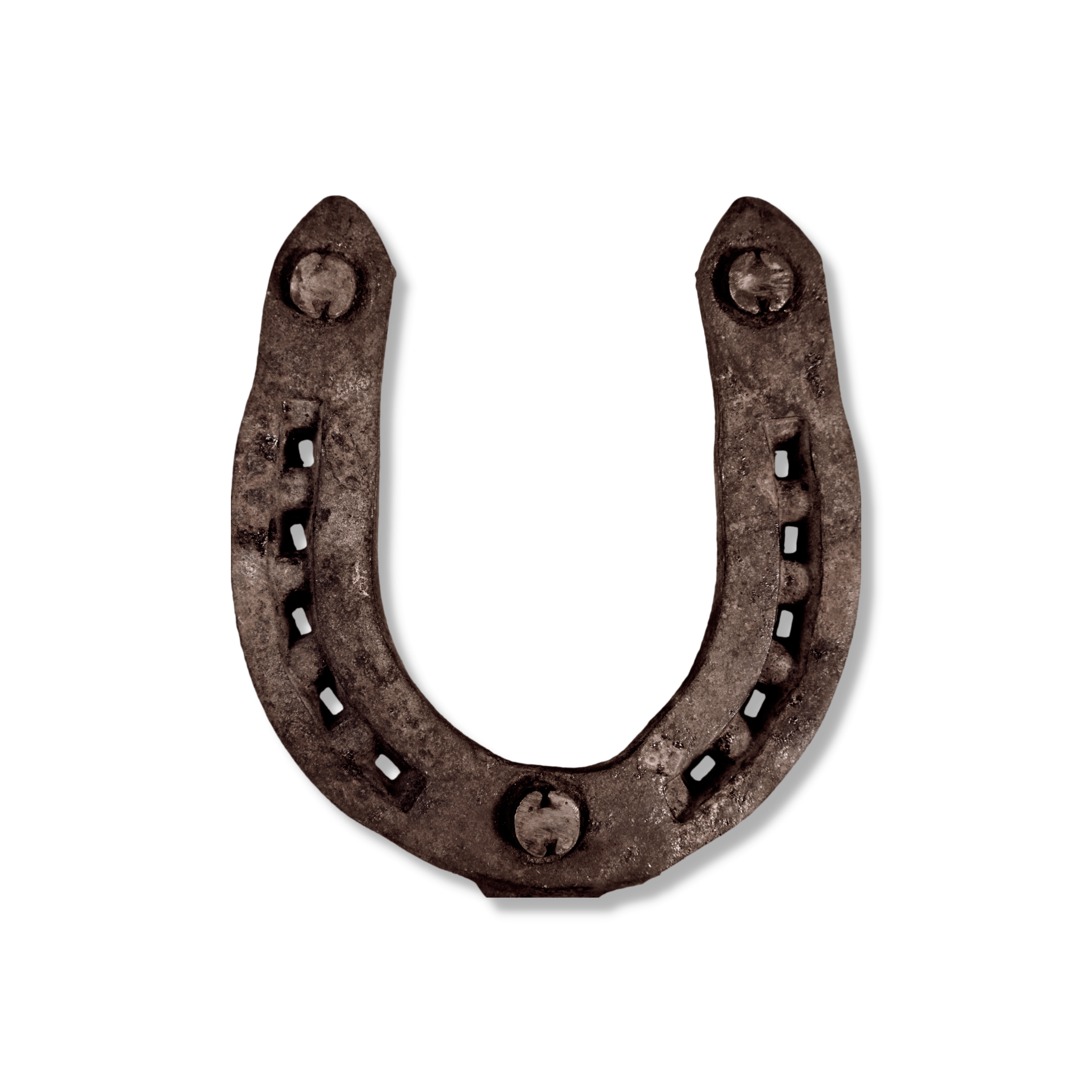 Authentic Rusted Horseshoe – Nine Keys Botanica