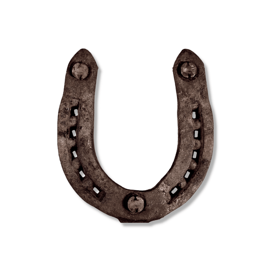 Authentic Rusted Horseshoe