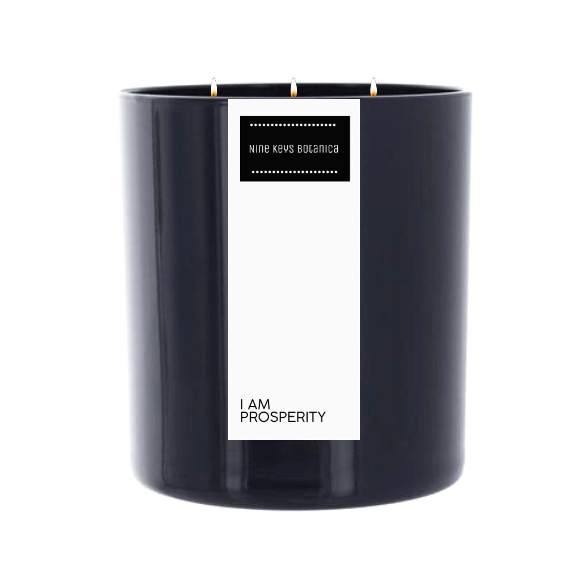I AM PROSPERITY, Nine Keys Botanica Intention Candle