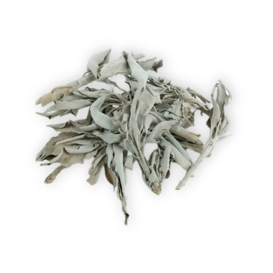 Organic California White Sage - Loose