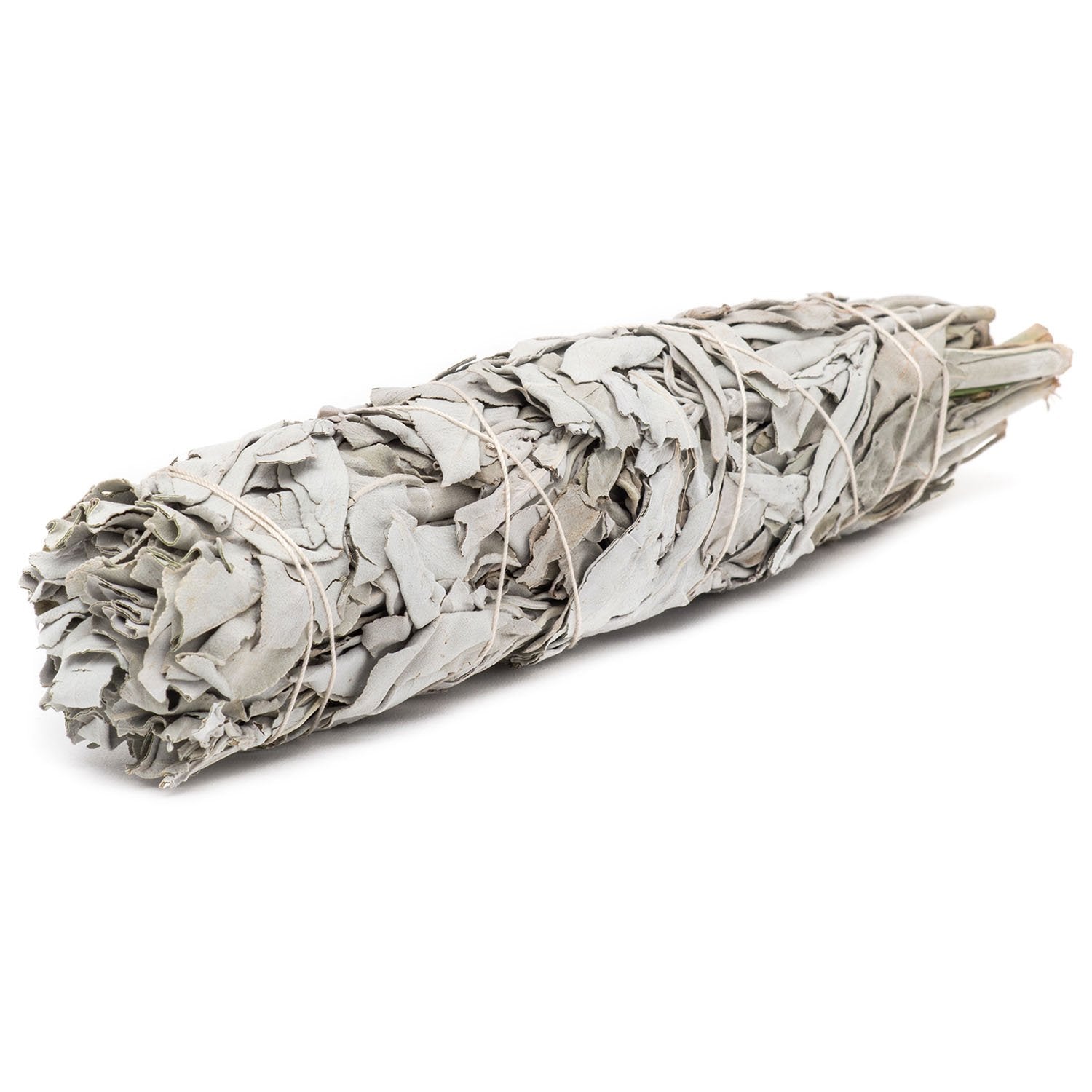 Organic California White Sage 6"
